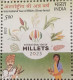 India 2023 Millets, Millet, Agriculture, Women, Cereals, Grass, Nutrition Health, Animal, Food Full Sheet MNH Per Scan - Agriculture