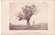 Isigny-le-Buat Ou Isigny-Pain-d'Avoine (Manche) Le Chêne Porte-gui De La Ferme Du Bois + Gui Photographié Le 24/04/1898 - Andere Plannen