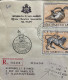 SAN MARINO-1971, REGISTER COVER, USED TO FRANCE, DUCK JUG, HERMES HEAD, MAN & WIFE COUPLE, CHIMERA, ILLKIRCH CITY CANCEL - Storia Postale