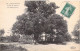 FRANCE - 91 - Montgeron - Forêt De Sénart - Le Chêne Prieur  - Carte Postale Ancienne - Montgeron
