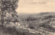 FRANCE - 54 - Longwy - Vue Sur Les Aciéries - Carte Postale Ancienne - Longwy