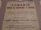 COMANIN - Comptoir Des Manufactures Et Industries - Part De Fondateur - Anvers 1926. - Industrie