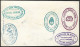 Argentina 1961 Beautiful Antarctica Thematic Multi Franked Cover SeveralCancels $$$ - Covers & Documents