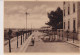 BARLETTA  VIALE REGINA ELENA  VG  1947 - Barletta