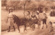 ENFANTS - Groupes D'enfants & Familles - Chien - Cheval - Maman - Enfants - Carte Postale Ancienne - Gruppen Von Kindern Und Familien