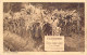 PUBLICITE - Cardons - L'Engrais Complet Intensif - N° 5bis De St-Gobain - Carte Postale Ancienne - Werbepostkarten