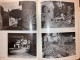 Osoppo 76 - Italy Earthquake - Illustrated Book - Old Books