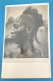 Carte Photo Africaine - Unclassified