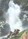 Austria:Krimml Waterfall, Goats - Krimml