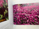 Delcampe - Lieblingspflanzen : Gardens Illustrated, BBC. - Natuur
