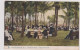USA Palm Beach - Cocoanut Grove - 1908 - Palm Beach