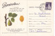 SAN JOSE SCALE, PEAR, PESTS ADVERTISING, AGRICULTURE, SPECIAL POSTCARD, 1979, ROMANIA - Agriculture