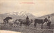 ATTELAGES - LES PYRENEES - Un Attelage Montagnard - Carte Postale Ancienne - Wagengespanne