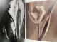 Delcampe - The Tulip Anthology. - Nature