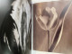 Delcampe - The Tulip Anthology. - Natuur