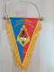 FANION 22°RIMa / 22° RÉGIMENT D'INFANTERIE DE MARINE / SISSONNE - Drapeaux