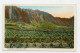 HAWAII - Pineapple Plantation. OAHU  ( 2 Scans ) - Big Island Of Hawaii