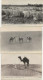 SCENES ET TYPES -ALGERIE - LOT DE 17 CARTES DIVERSES DONT ANIMEES --ANNEES 1920 - Szenen