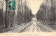 FRANCE - 02 - VILLERS COTTERETS - Forêt - Route Du Faite - Carte Postale Ancienne - Villers Cotterets