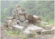 Dholkal Ganesh Temple, Shaktipeeth, Hindu God Ganesha, Located In Mountain, Hinduism, Hindu Mythology, Postal Card India - Hindoeïsme