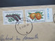 Zypern / Cyprus Kibris Türk 1976 Motivmarken Früchte Per Luftpost Einschreiben Lefkosa - Krefeld - Cartas & Documentos
