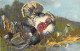 Oiseaux - Dindons - Illustration - Carte Postale Ancienne - Oiseaux