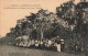 Nouvelle Calédonie - Dumbéa - Decauville Menant Les Passagers Aux Courses Dumbéa - Animé - Carte Postale Ancienne - Nueva Caledonia
