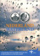 NÉERLANDAIS NETHERLANDS 5 EURO 2010 ARGENT PROOF #SET1091.22.F - Mint Sets & Proof Sets