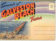 SOUVENIR OF GALVESTON BEACH  TEXAS  15 VIEWS - Galveston