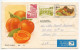 South Africa 1983 8p. Fruit Cornucopia Illustrated Postal Card - Peaches; Pietemaritzburg To Miami, Florida - Lettres & Documents