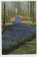 AK 128645 NETHERLANDS - Lisse - Keukenhof - Lisse