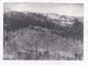 CPM. 15 X 10,5 -  Alphonse  Deriaz  -  Ouragan  Dans  La  Forêt  De Baulmes, 1935 - Baulmes