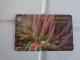 St.Vincent & The Grenadines Phonecard - St. Vincent & The Grenadines