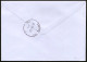 Japan, Togura 2013 Air Mail Cover Used To İzmir | Mi 2509A, 5175 Butterfly, Daisy, Houses In Snow, UNESCO World Heritage - Brieven En Documenten