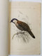 ASIATIC SOCIETY OF BENGAL 1878 JOURNAL PART II No.I, 3 DIFFERENT LITHOGRAPHY PLATES OF TIGER TEETH & BIRDS, COMPLETE - Wetenschappen