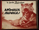 Le Jardin Zoologique - ANIMAUX SAUVAGES - Société Parisienne D'édition . - Martine