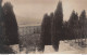 ESPAGNE ESPAÑA ►CPSM►±1950►Les Jardins D’Alfabia, La Chartreuse De Valldemossa - Éd. La Cartoixa - Mallorca