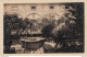 ESPAGNE ESPAÑA ►CPSM►±1950►Le Jardin De La Chartreuse De Valldemossa - Éd. La Cartoixa - Mallorca