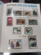 CHINA 1997 Whole Year Of Tiger Full Stamps Set(not Include The Album) - Volledig Jaar