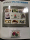 Delcampe - CHINA 1997 Whole Year Of Tiger Full Stamps Set With Gold Honggkong Return S/S(not Include The Album) - Full Years