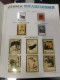 Delcampe - CHINA 1997 Whole Year Of Tiger Full Stamps Set With Gold Honggkong Return S/S(not Include The Album) - Komplette Jahrgänge