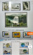 Delcampe - CHINA 2001 Whole Year Of Snake Full Stamps Set(not Include The Album) - Full Years