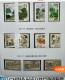 Delcampe - CHINA 2001 Whole Year Of Snake Full Stamps Set(not Include The Album) - Annate Complete