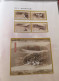 Delcampe - CHINA 2002 Whole Year Of Snake Full Stamps Set(not Include The Album) - Full Years