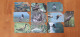 Phonecard Set Poland - Birds - Pologne