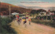 Nouvelle Calédonie - Nouméa - Montagne Coupée - Course Cycliste De 100 Km - Colorisé - Carte Postale Ancienne - Neukaledonien