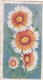 22 Lavia  - Annuals 1939 - Godfrey Phillips Cigarette Card - Original - Phillips / BDV