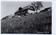 Lilienfeld - Kloster Hinteralpe 1950 (12786) - Lilienfeld