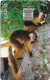 Madagascar - Telecom Malagasy - Lemurs Of Madagascar, Cn. White, Chip SC7, 25Units, Used - Madagascar