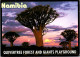 (1 Q 46)  Namibia (posted To France With Big Cat Stamp) Quivertree Forest - Namibia